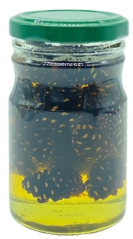 Сосновая шишка в меду