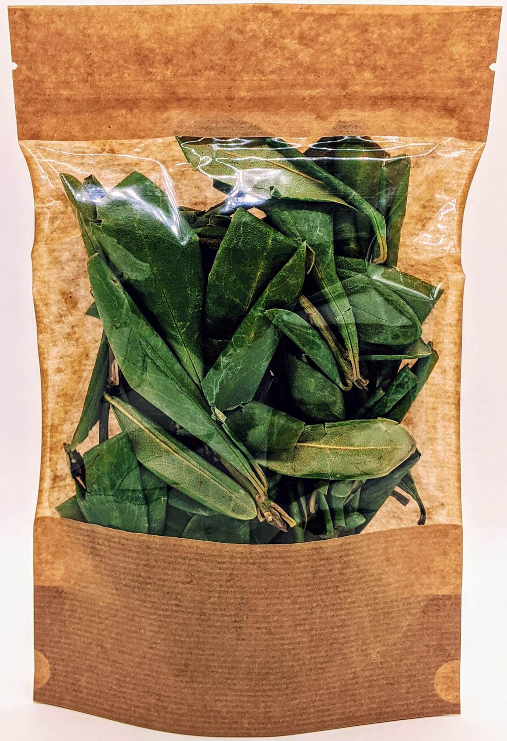 Кашкара (Рододендрон золотистый)