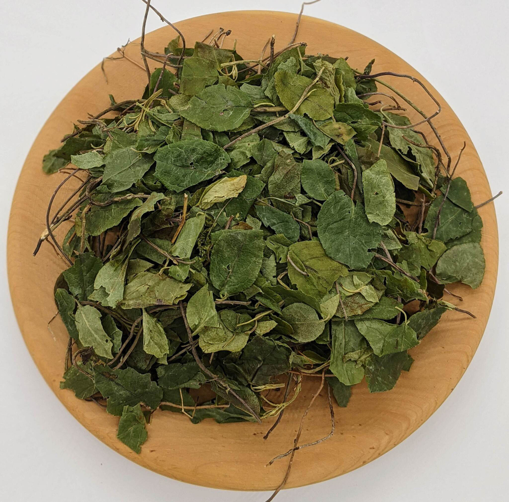 Боровая матка (ортилия однобокая, рамишия однобокая) (трава)