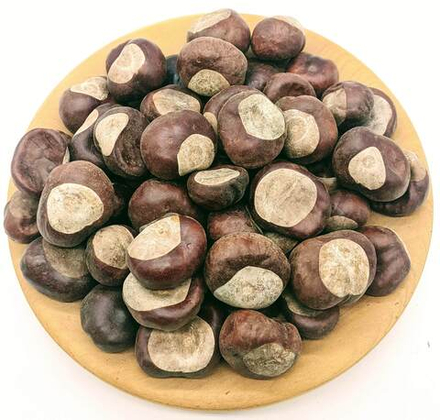 Каштан конский (плоды)