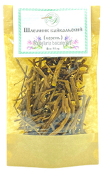 Шлемник байкальский (корень)